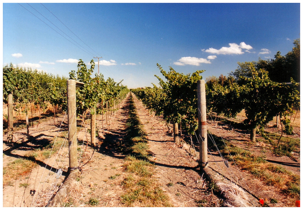 06 - New-Zealand (11).jpg